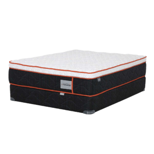 Sleep Fitness Comfort Therapedic