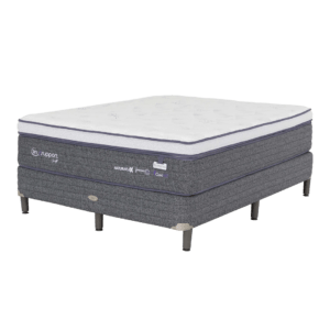 Issuport Soft Serta